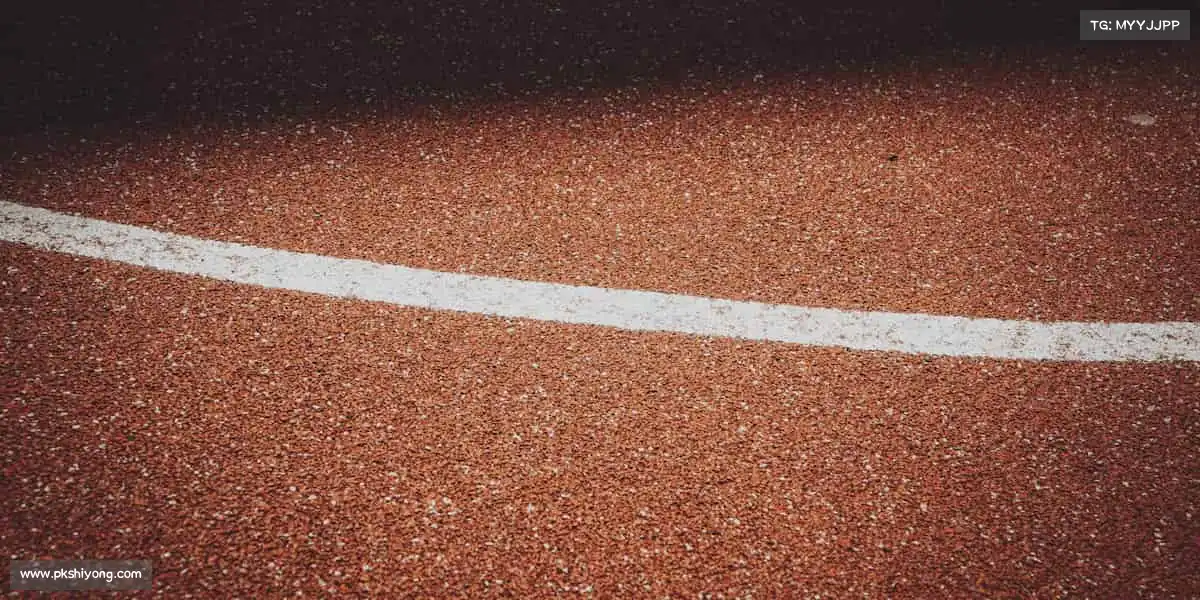 <strong>DB电竞官方网站</strong>💃舞动身体，释放灵魂 —— 体育的魅力，从你踏上场地的第一秒开始绽放！